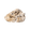 Ambergris