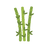Bamboo