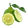 Bergamot