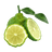 Bergamot
