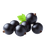 Black Currant