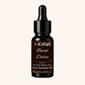 Burnt Desire Perfume Oil