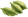 Cardamom