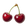 Sour Cherry