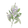 Clary Sage