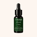 Earth Core Perfume Oil