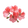 Geranium