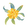 Osmantus