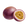 Passionfruit