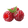 Raspberry
