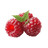 Raspberry