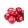 Red Berries