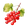 Red Currant