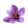 Saffron