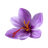 Saffron