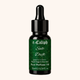 Salt Drift Perfume Oil
