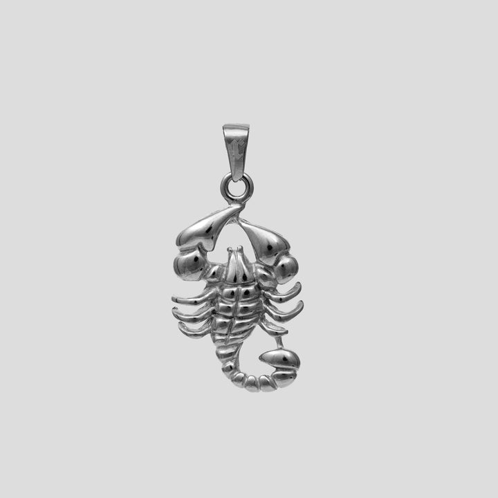 Scorpion Pendant (Silver)