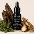 Smoked Woods Perfume Oil