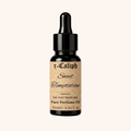 Sweet Temptation Perfume Oil