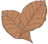 Tobacco