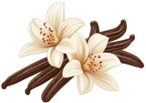 Vanilla