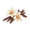 Vanilla