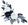 White Florals