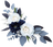 White Florals